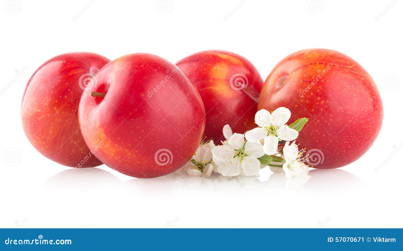 Red plums stock image. Image of sweet, eating, healthy 57070671