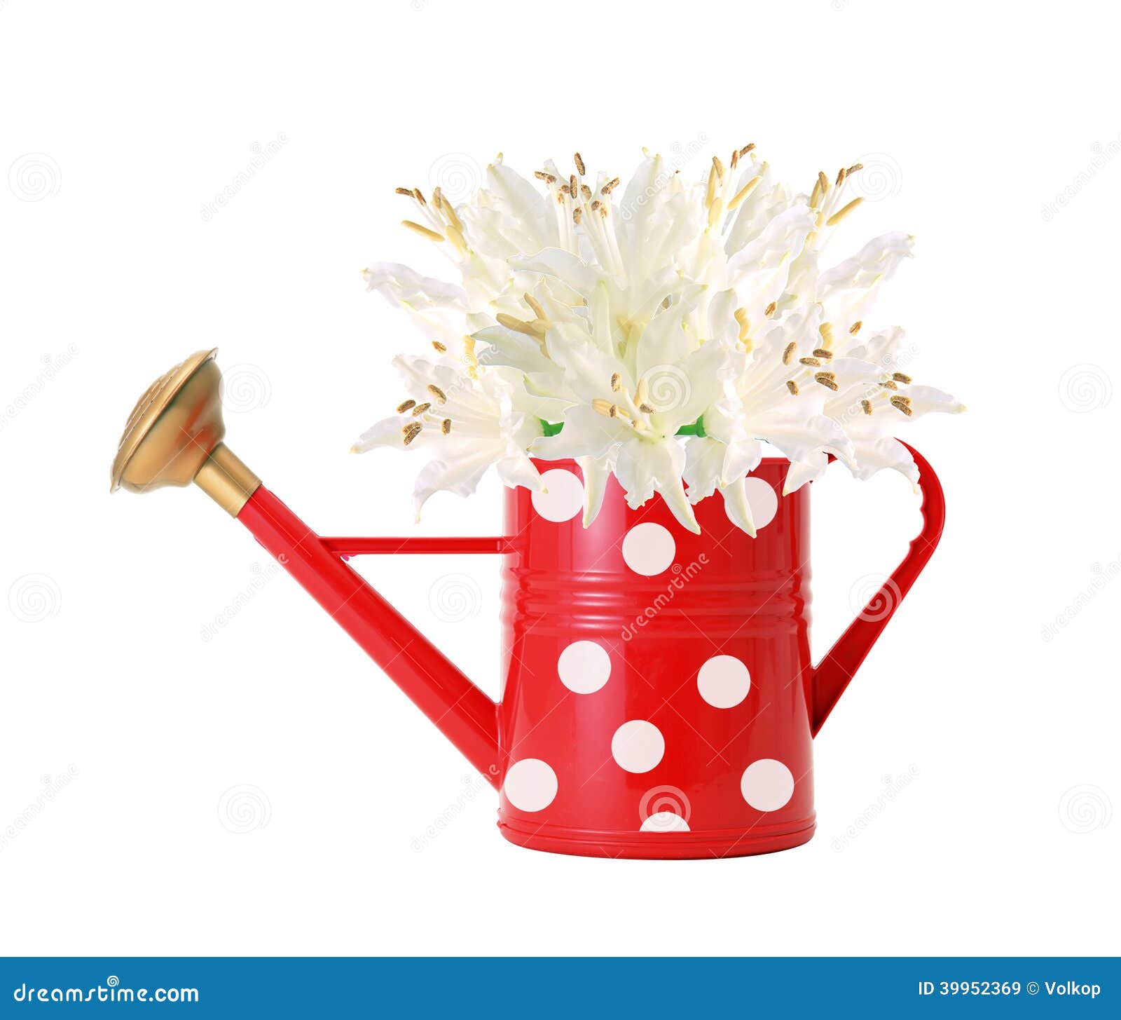 Red Polka Dot Watering Can and White Lilly Isolated on White Stock ...