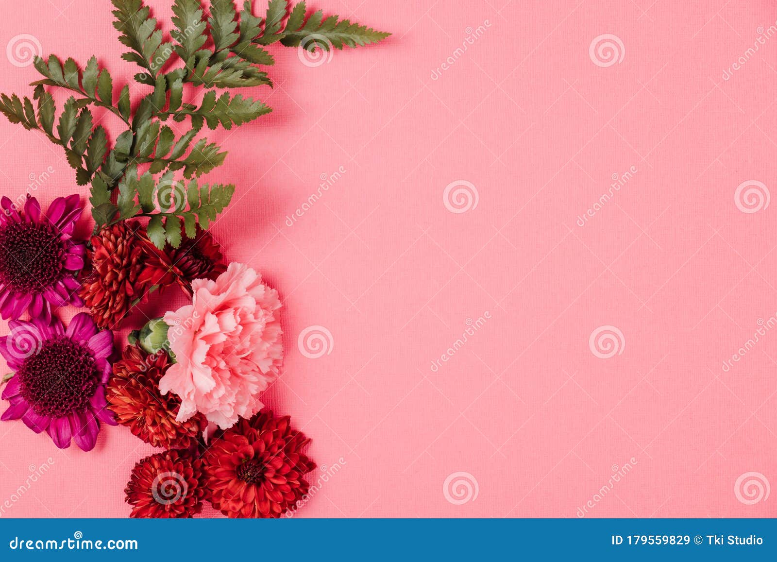 Pink Background with Red, Pink and Purple Flowers Stock Image - Image ...