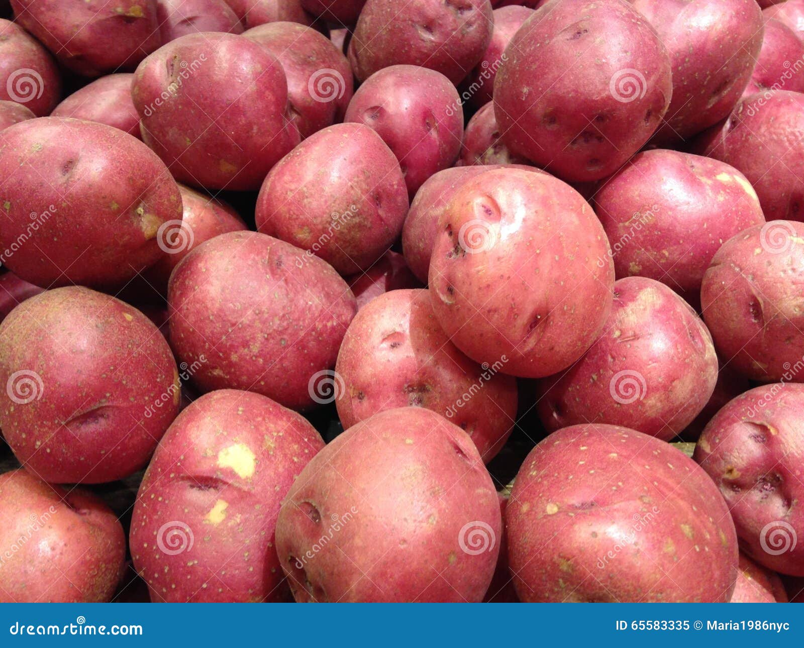 Red Potato at Whole Foods Market