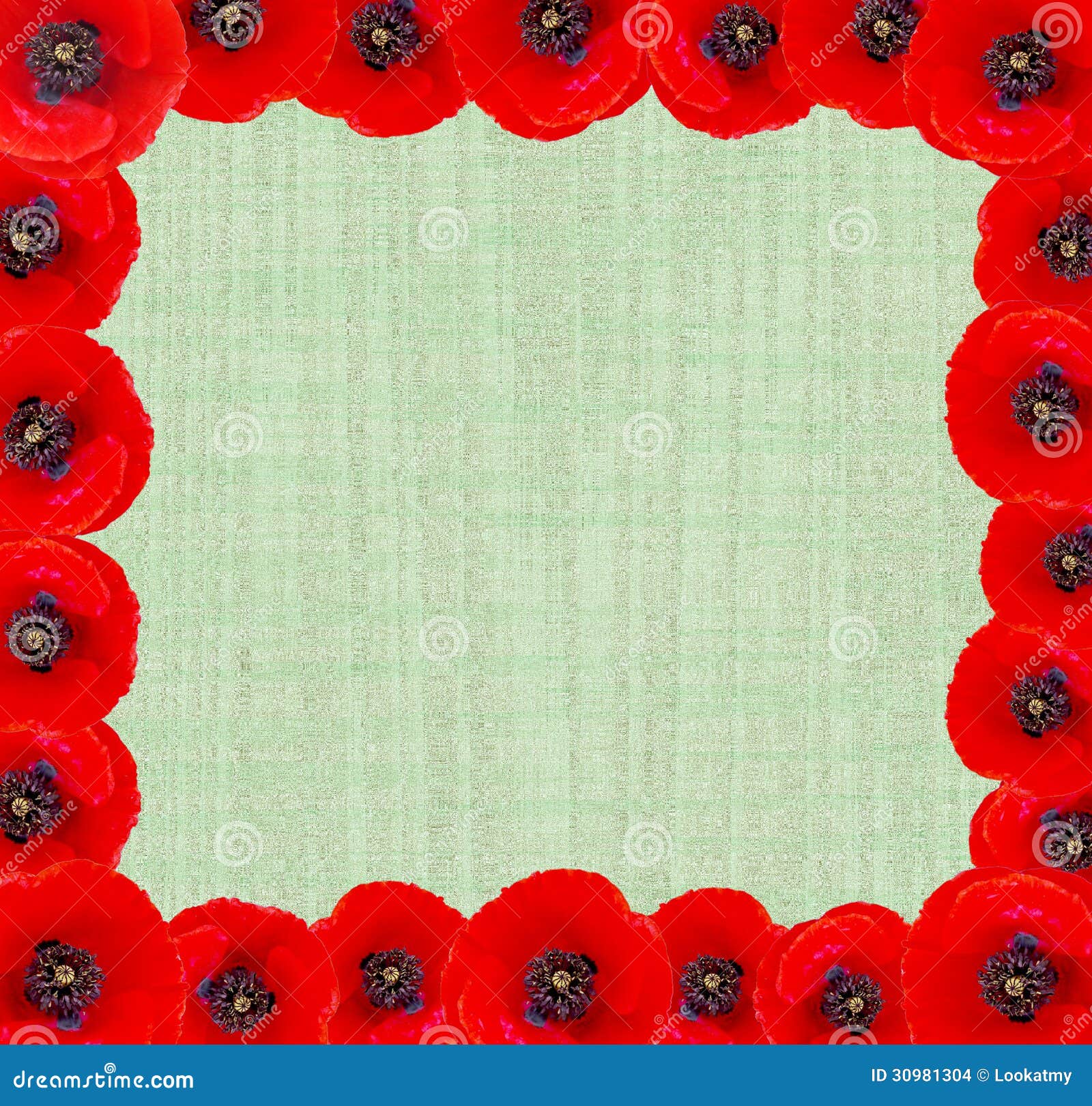 red poppies bordered background