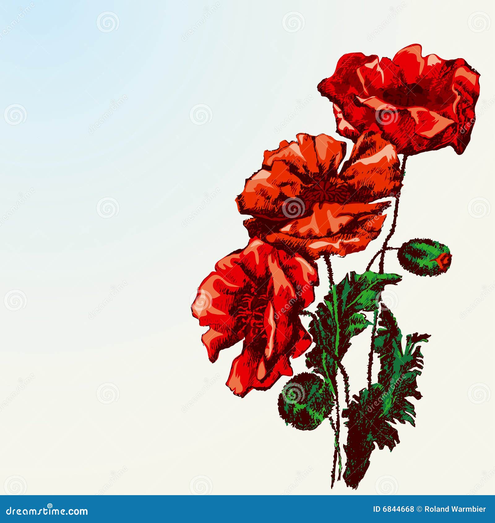 red flower with black outline drawing isolated on white background. 6554008  Vector Art at Vecteezy