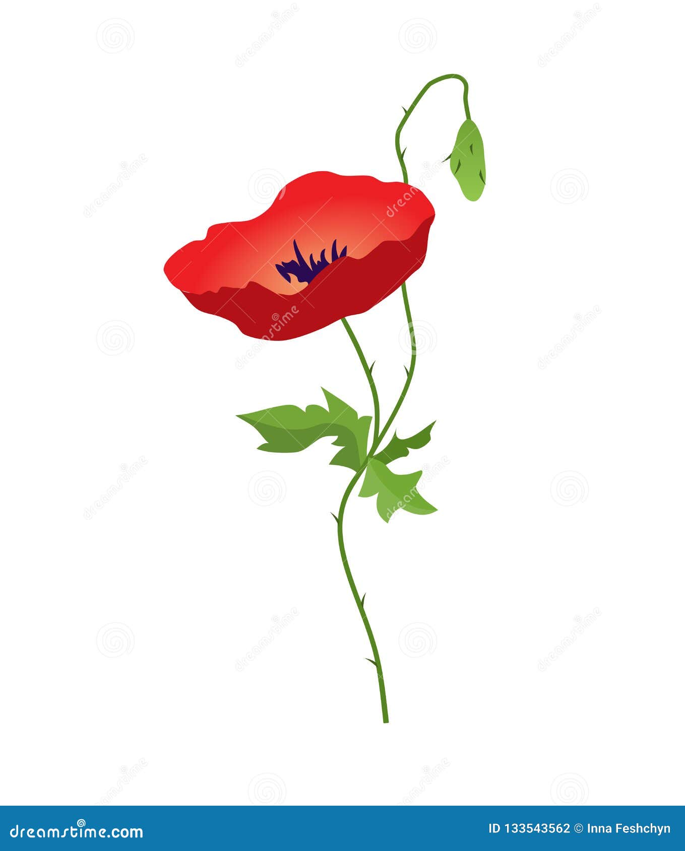 Red Poppy Flower Isolated on White Background, Vector Illustration ...