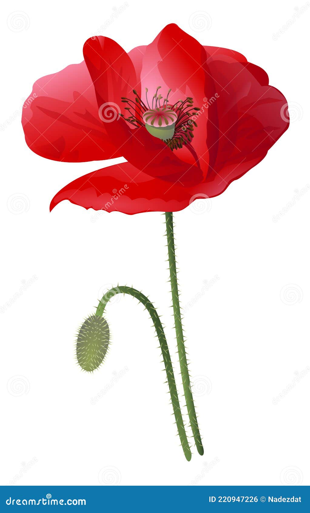 Red Poppy Flower Paint Style Illustration Stock Vector - Illustration ...