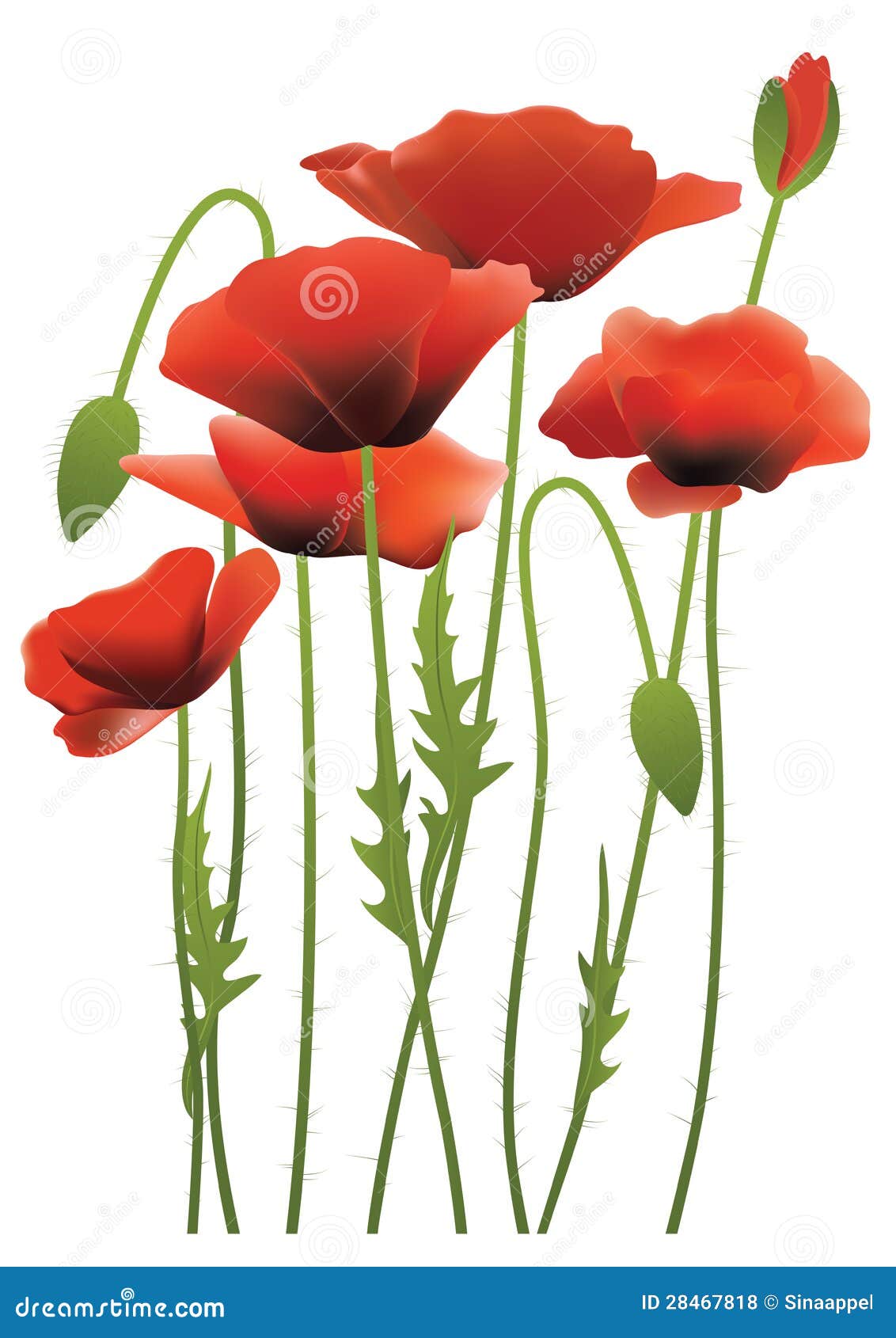 free clip art poppy flowers - photo #41