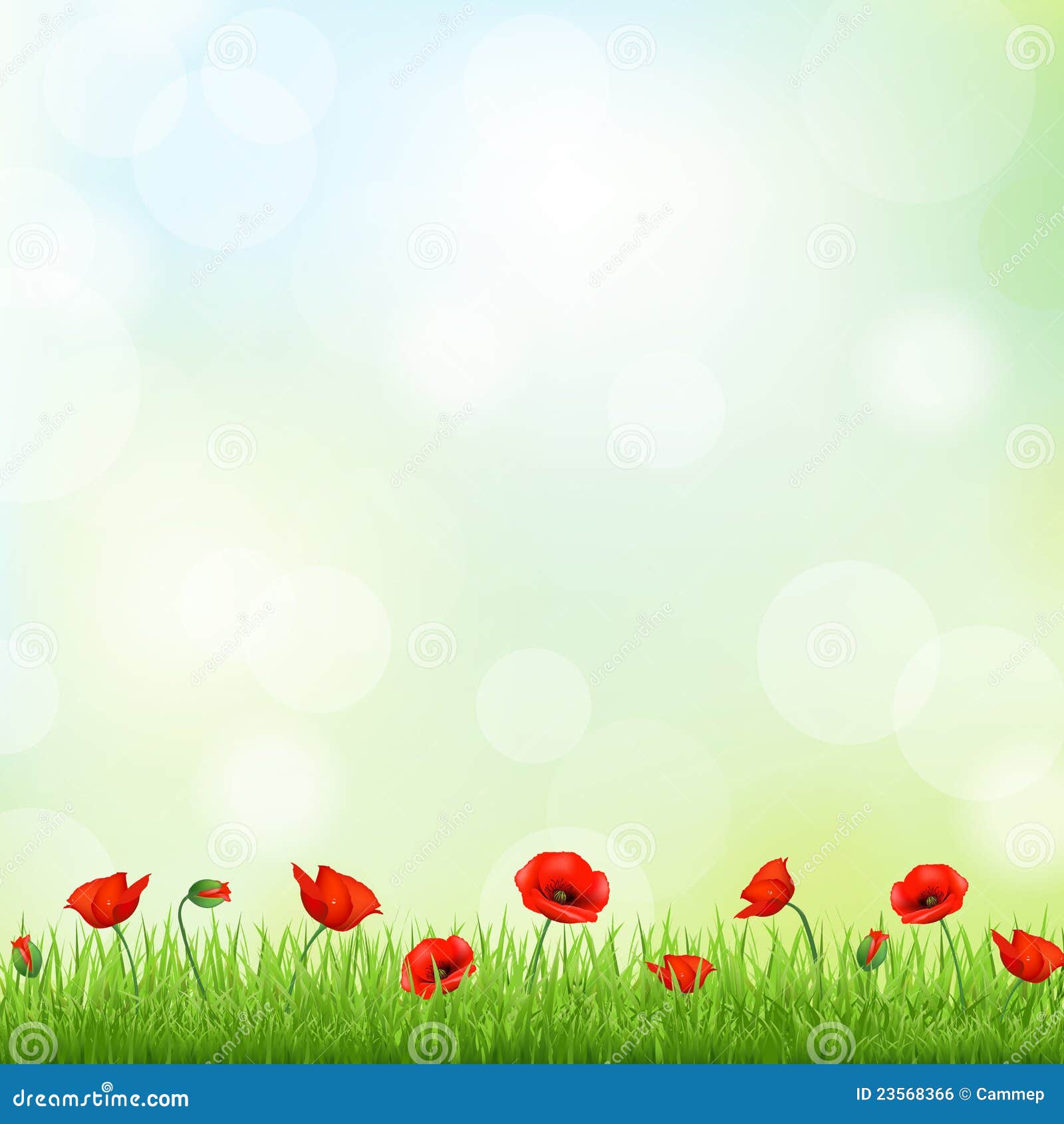 Red Poppy And Grass Border Royalty Free Stock Image - Image: 23568366