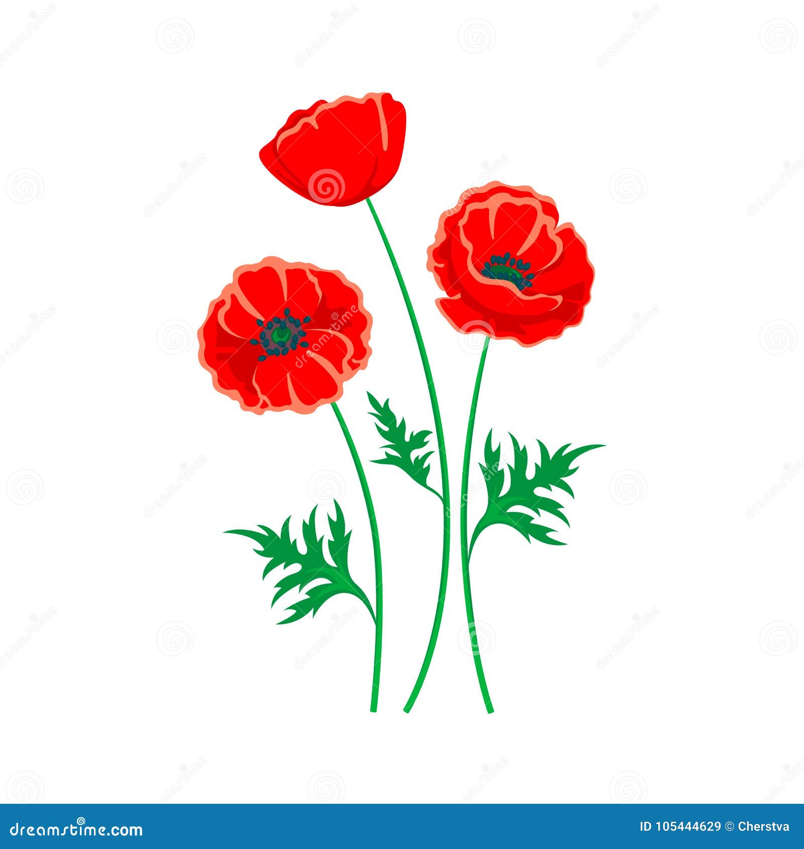 Red Poppy Illustration. Vector Isolated Flower on White. Stock Vector ...