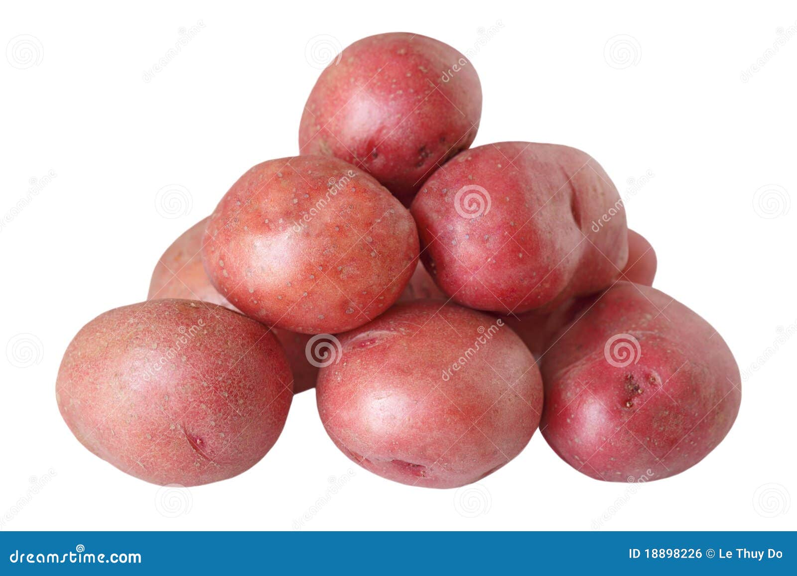 Red Potatoes stock photo. Image of starchy, carbohydrate 18898226