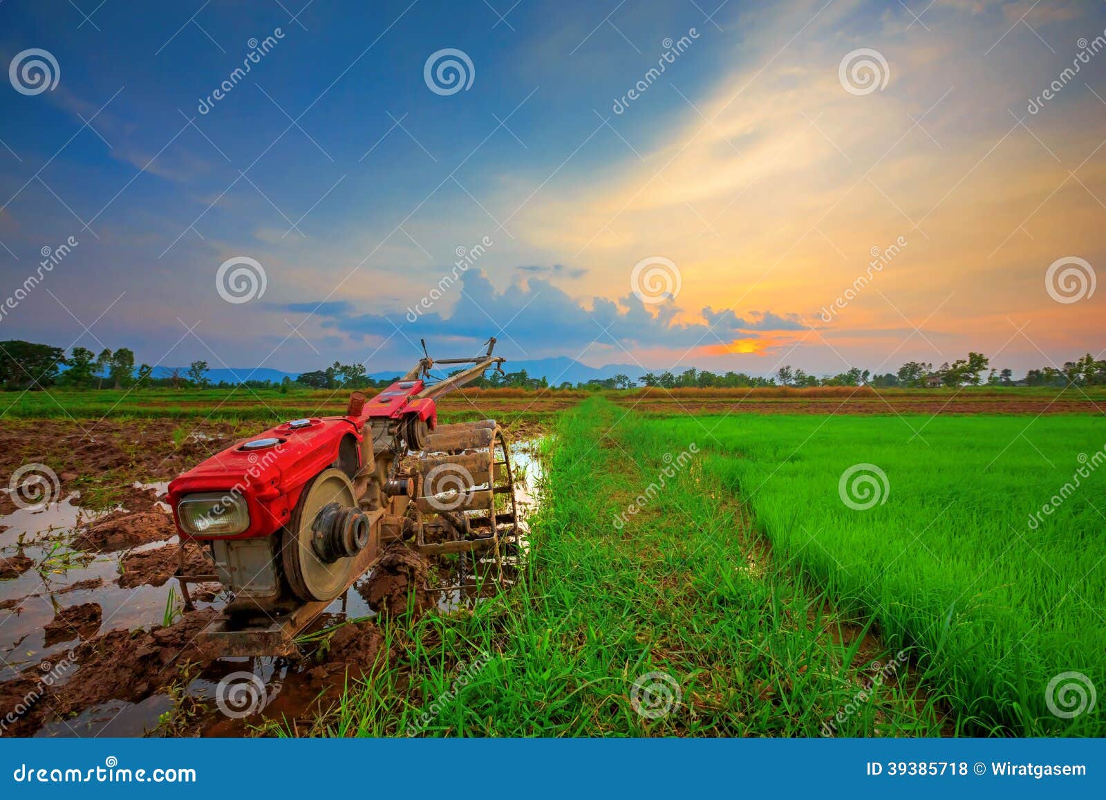 Red Power Tiller in Rice Field Stock Photo Image of plow, agriculture