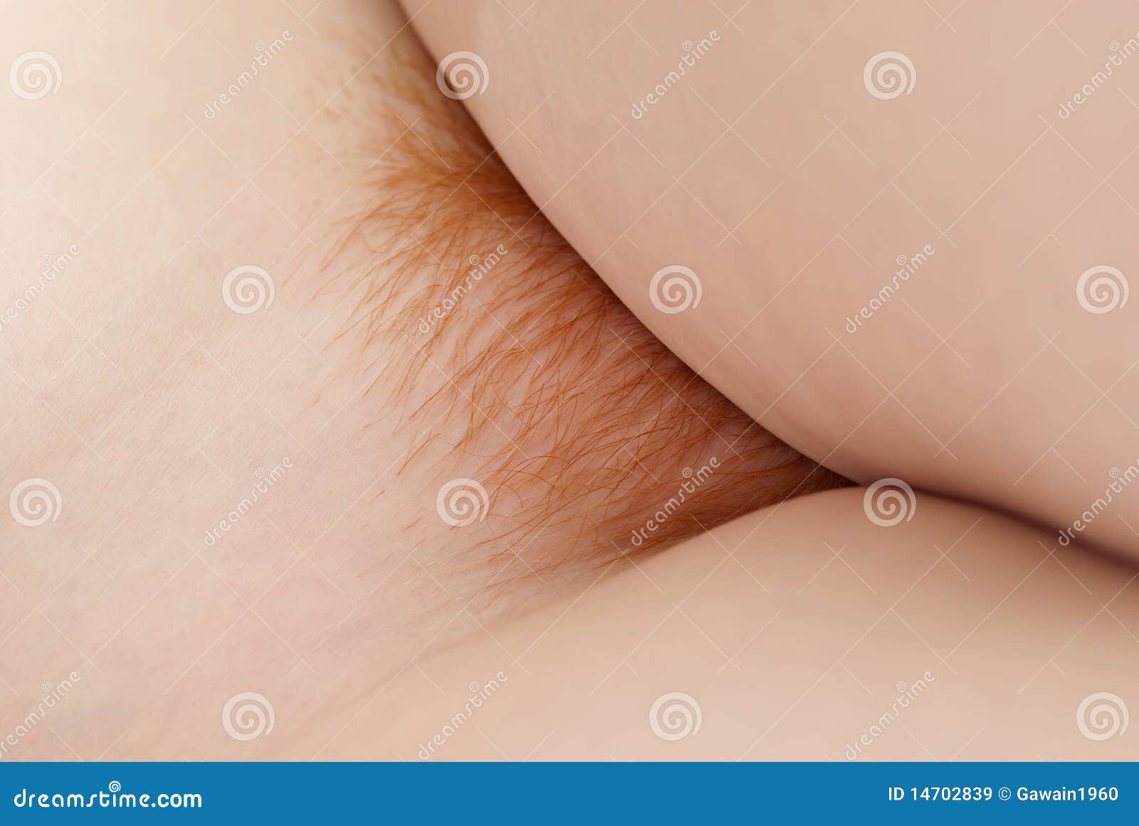 199 Pubic Hair Stock Photos And High-res Pictures