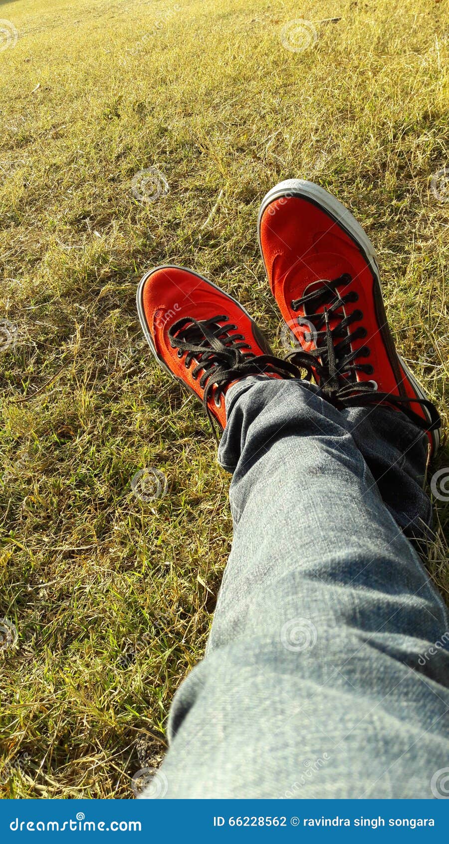 Red Puma Shoes With Grass HD Wallpaper 