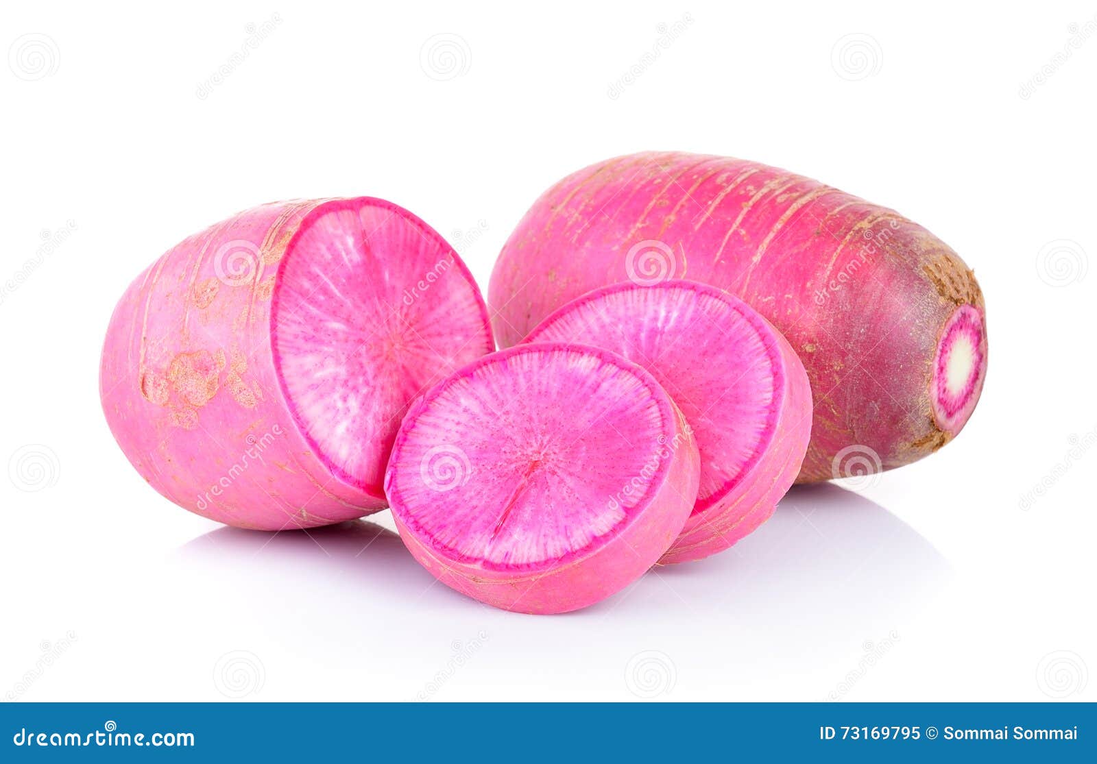 Red radish stock image. Image of food, healthy, asian 73169795