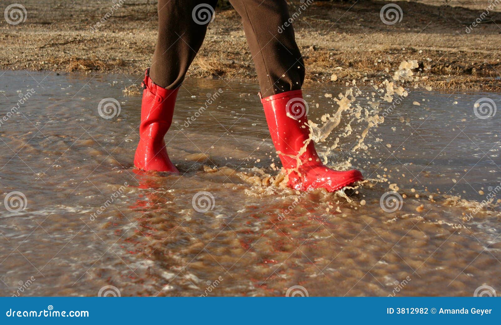 Red Rain Boots In Puddle Stock Photography - Image: 3812982