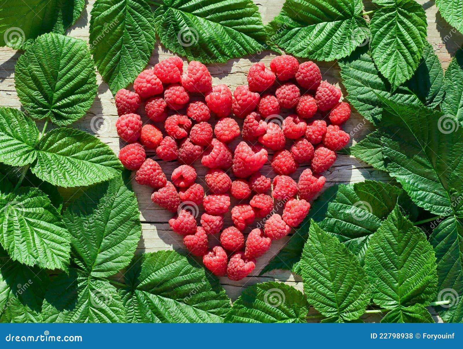 Red Raspberry Heart with Green Leaves Stock Photo Image of edible