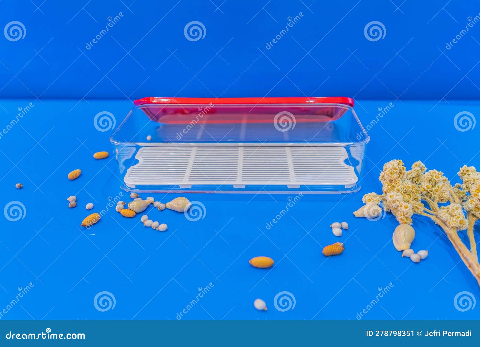 Red Rectangular Container for Storing Meat and Fish Stock Image Image