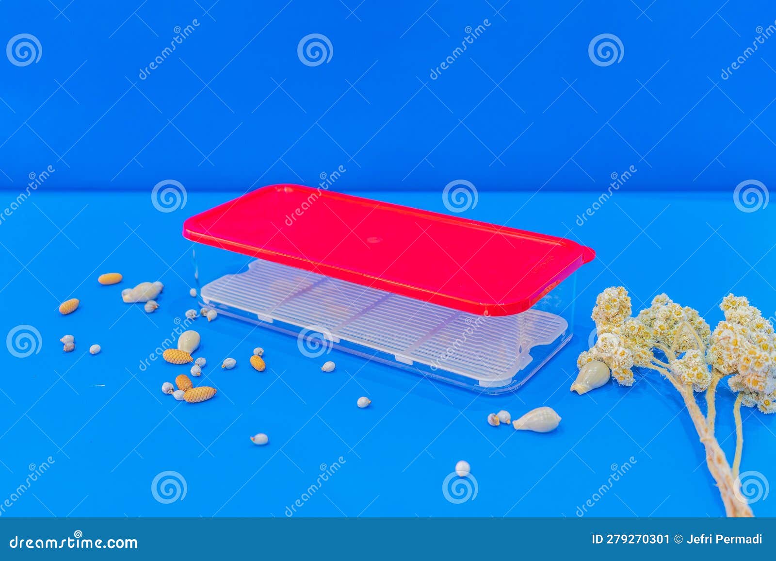 Red Rectangular Container for Storing Meat and Fish Stock Image Image