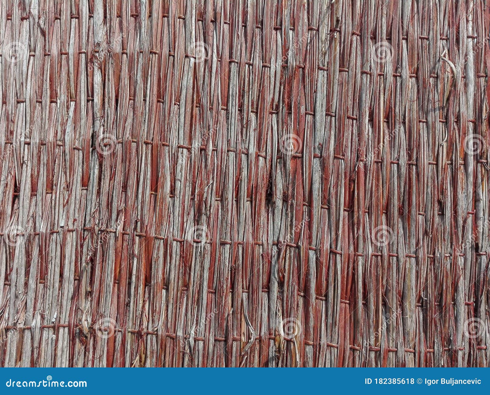 Red Reed Texture. Reed Mat Texture. Wall of the Red Reed Stalks. Stock