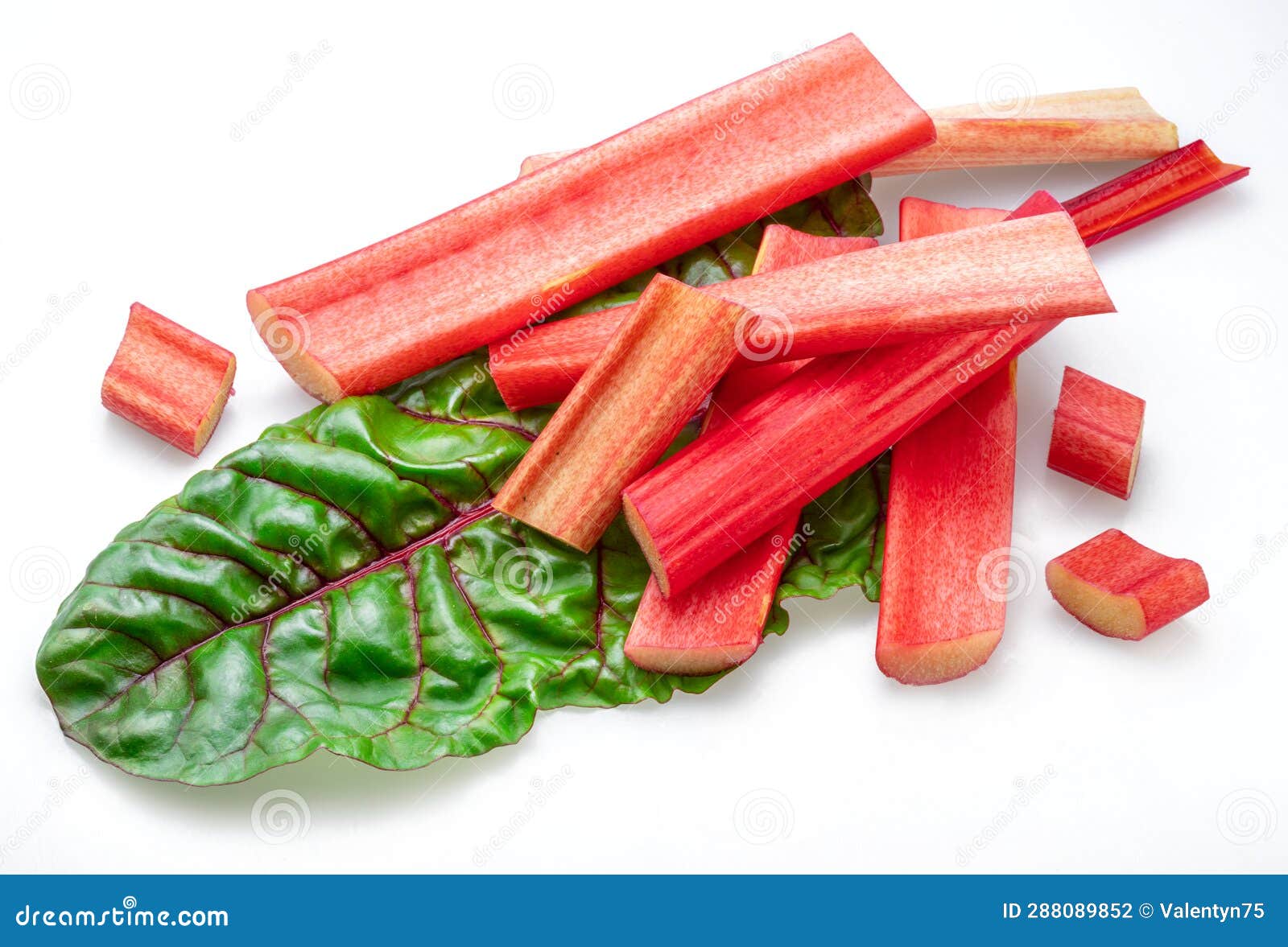 Red Rhubarb Stems Cuts Over Rhubarb Leaves Isolated on White Background