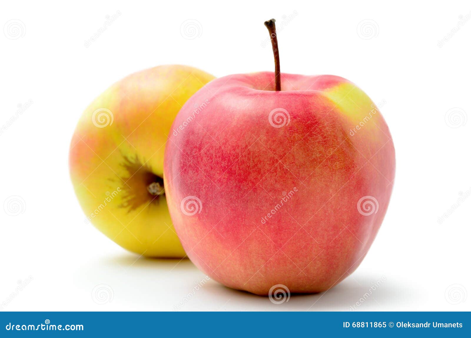 Red, Ripe Apples Jonagold on White Background Stock Image Image of