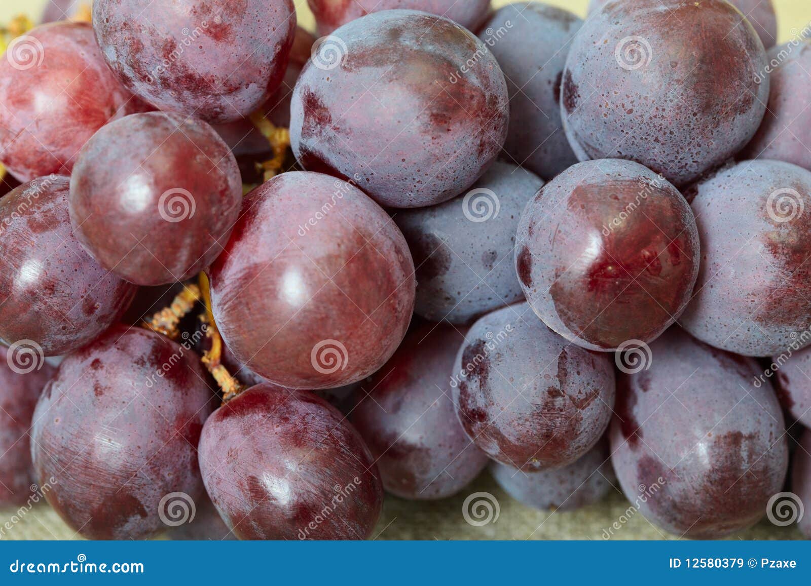 Red ripe grapes close up stock image. Image of soft, berry 12580379
