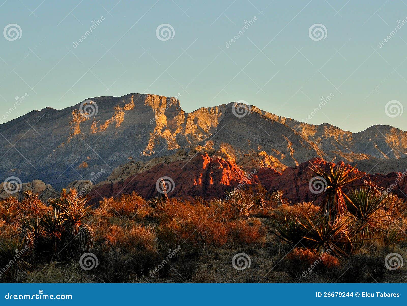 Red Rock Canyon stock photo. Image of landscape, cactus 26679244