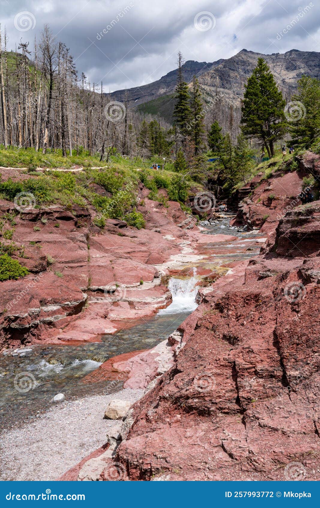 red rock canyon area of waterton lakes national park canada