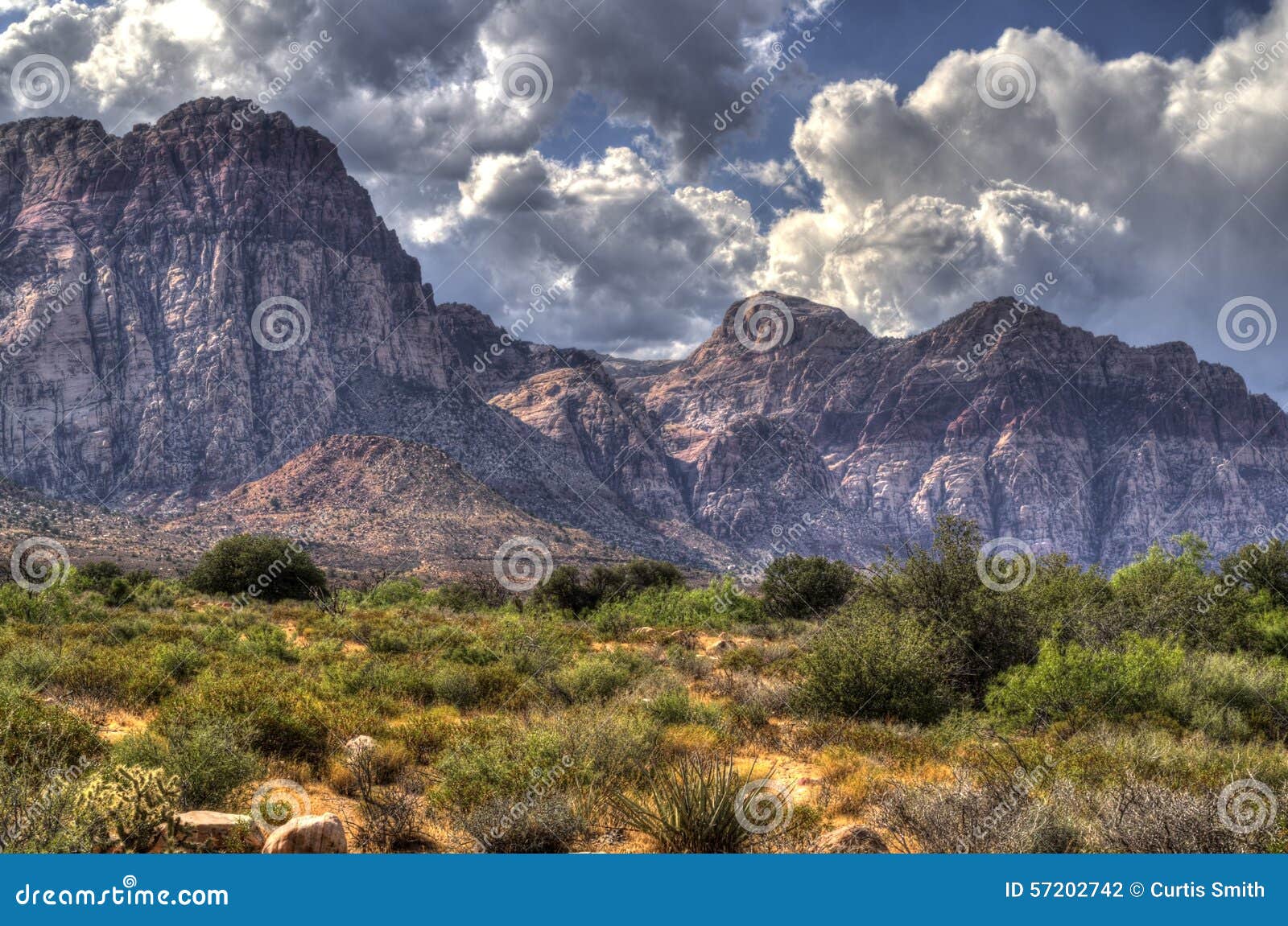 red rock canyon, desert and mountains in nevada