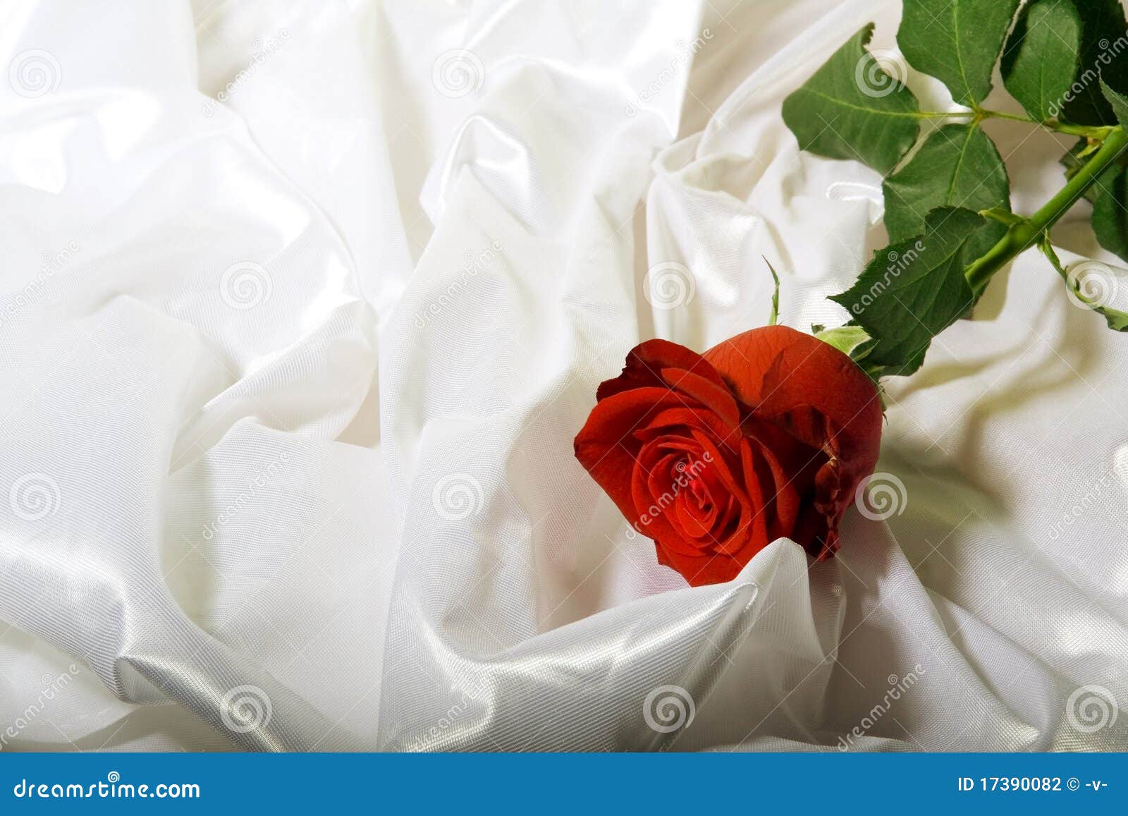 Red rose stock photo. Image of objects, gift, ornate - 17390082