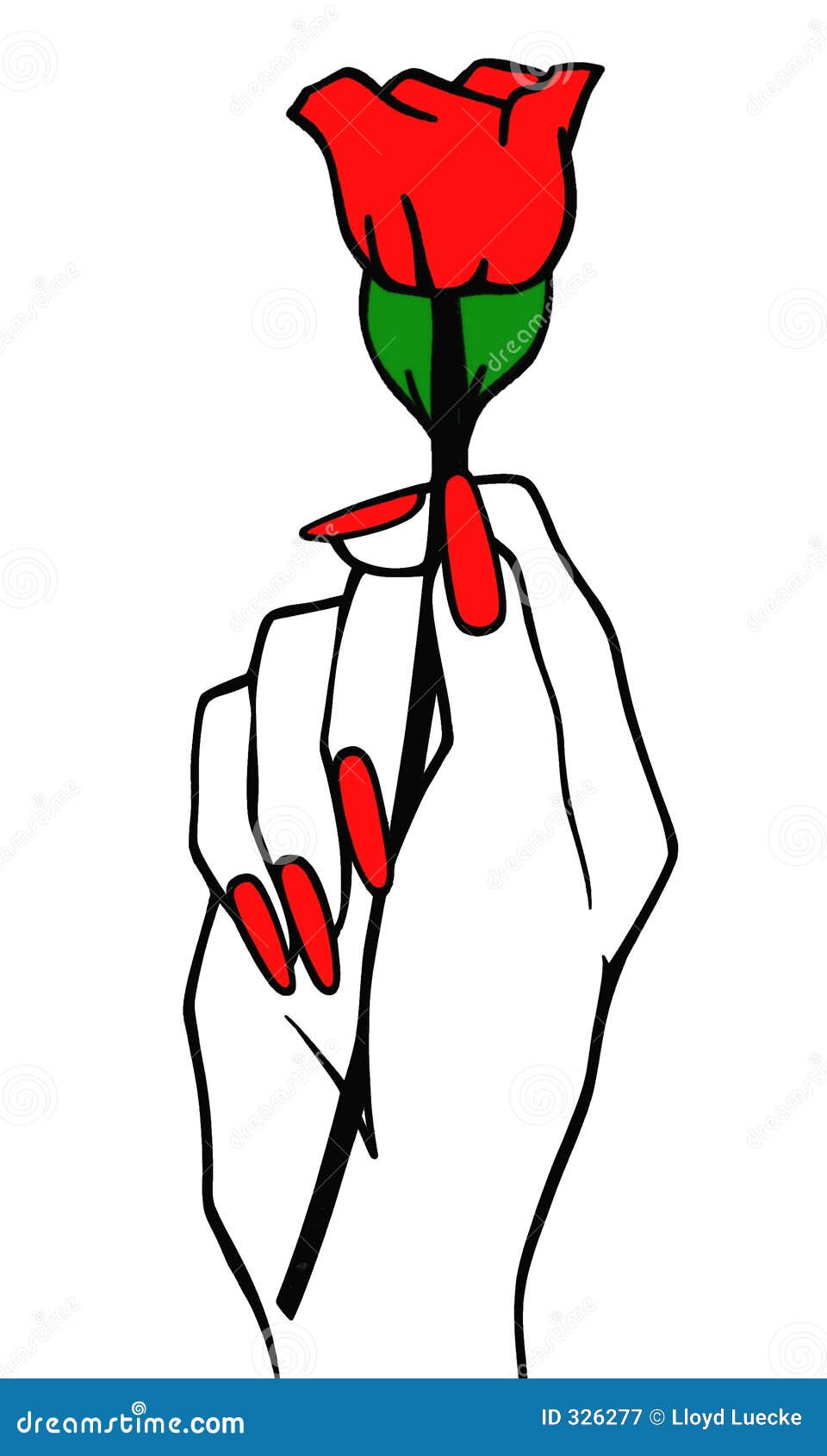 Red Rose stock illustration. Illustration of hand, rose ...