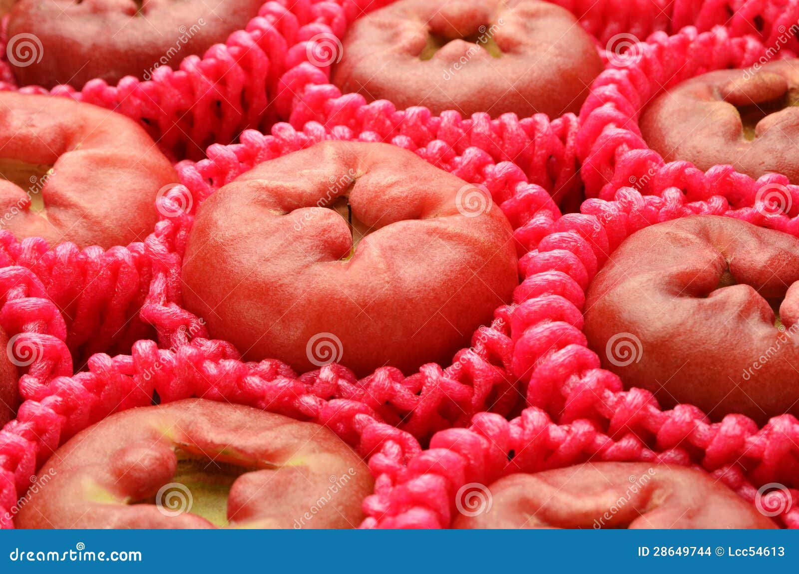 Red rose apple stock photo. Image of pink, vitamin, group 28649744