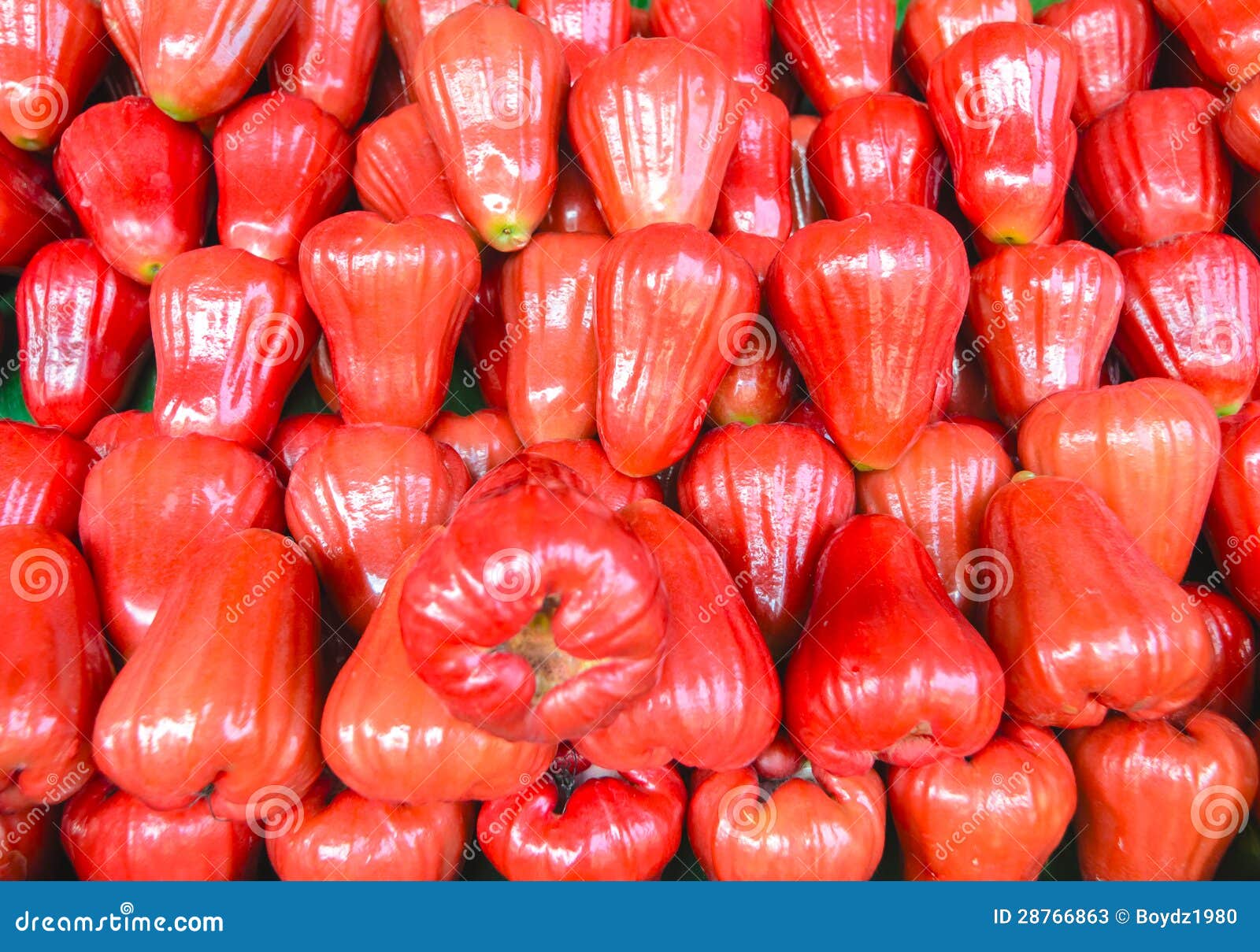 Red rose apple stock image. Image of nutrition, slice 28766863
