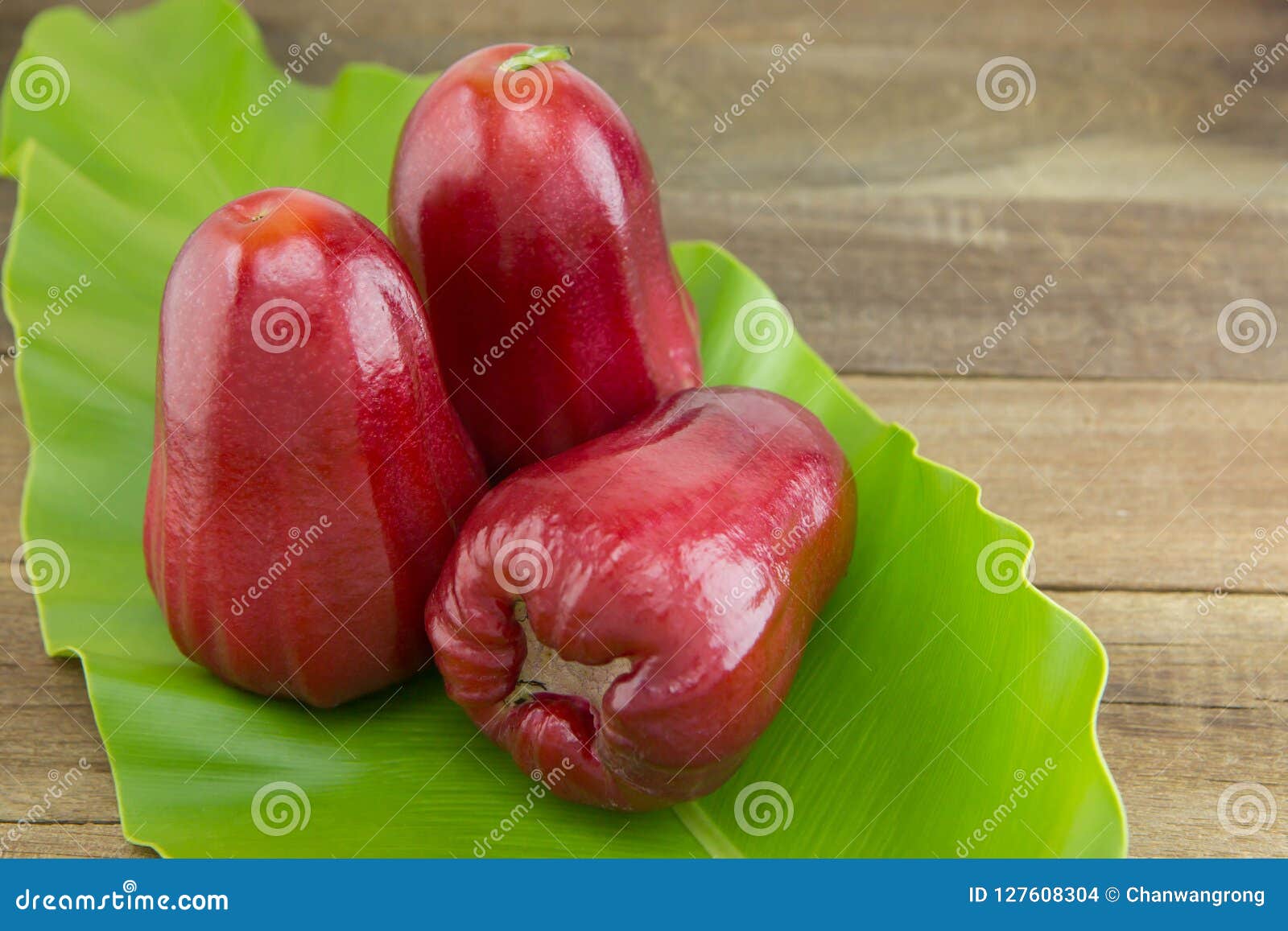 Red Rose Apple on Green Leaf, Selective Focus Stock Photo Image of