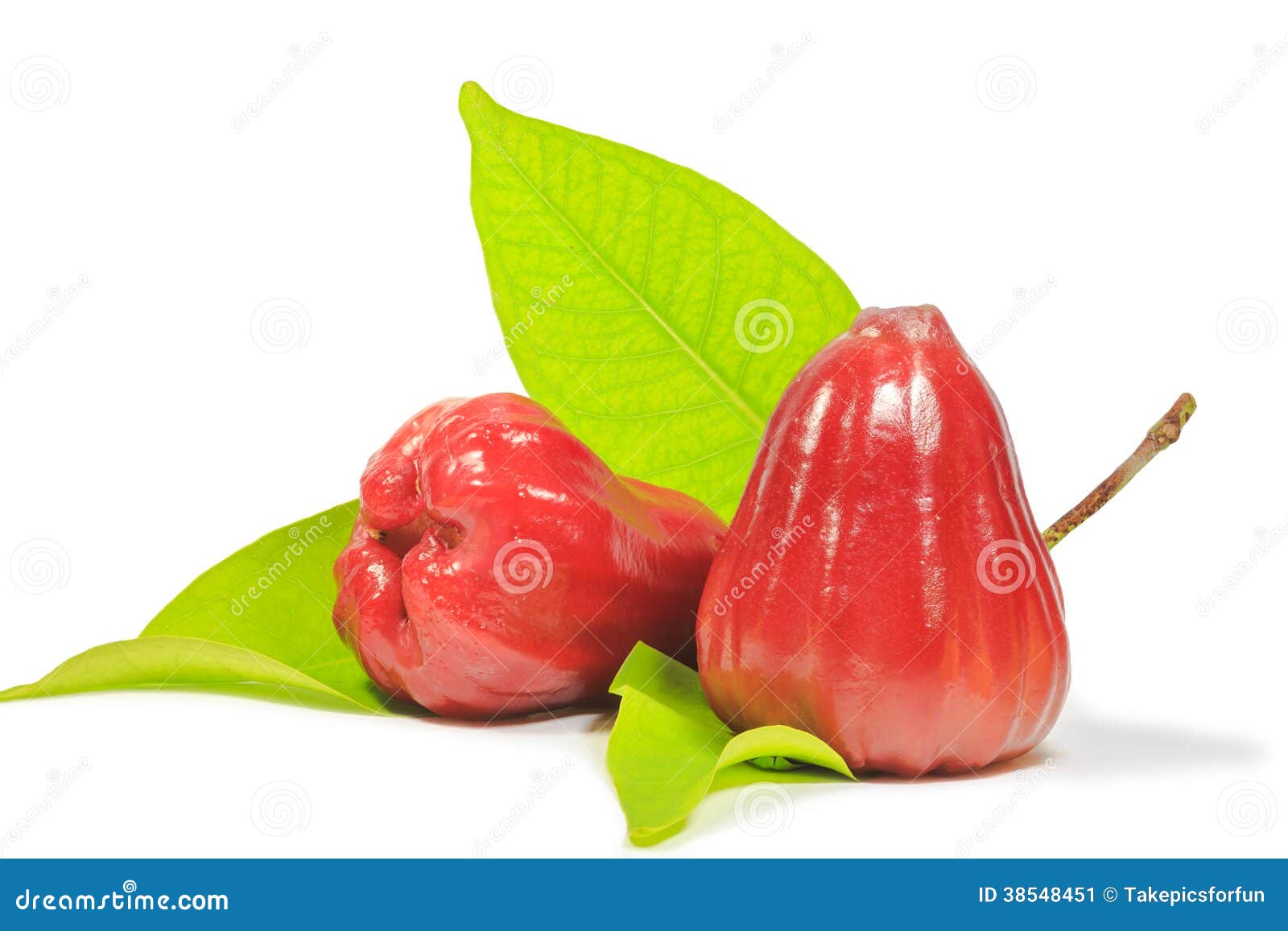 Red rose apple stock image. Image of rose, background 38548451