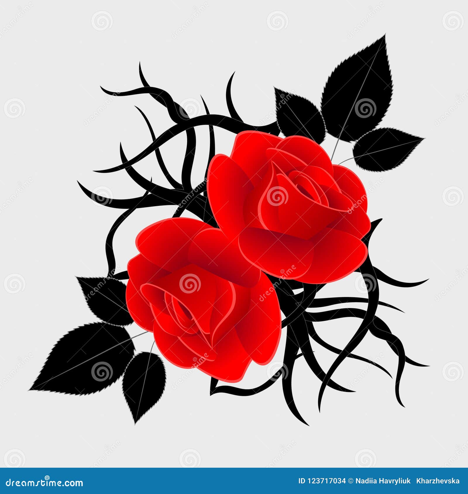 Red Rose with Black Design Elements is Isolated on a Gray Background. Stock  Vector - Illustration of leaves, lines: 123717034