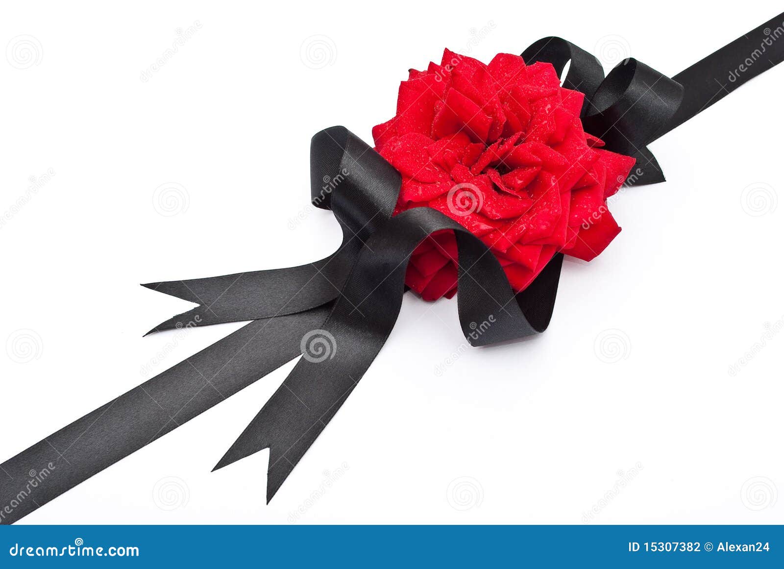 Black silk ribbon with rose design Royalty Free Vector Image