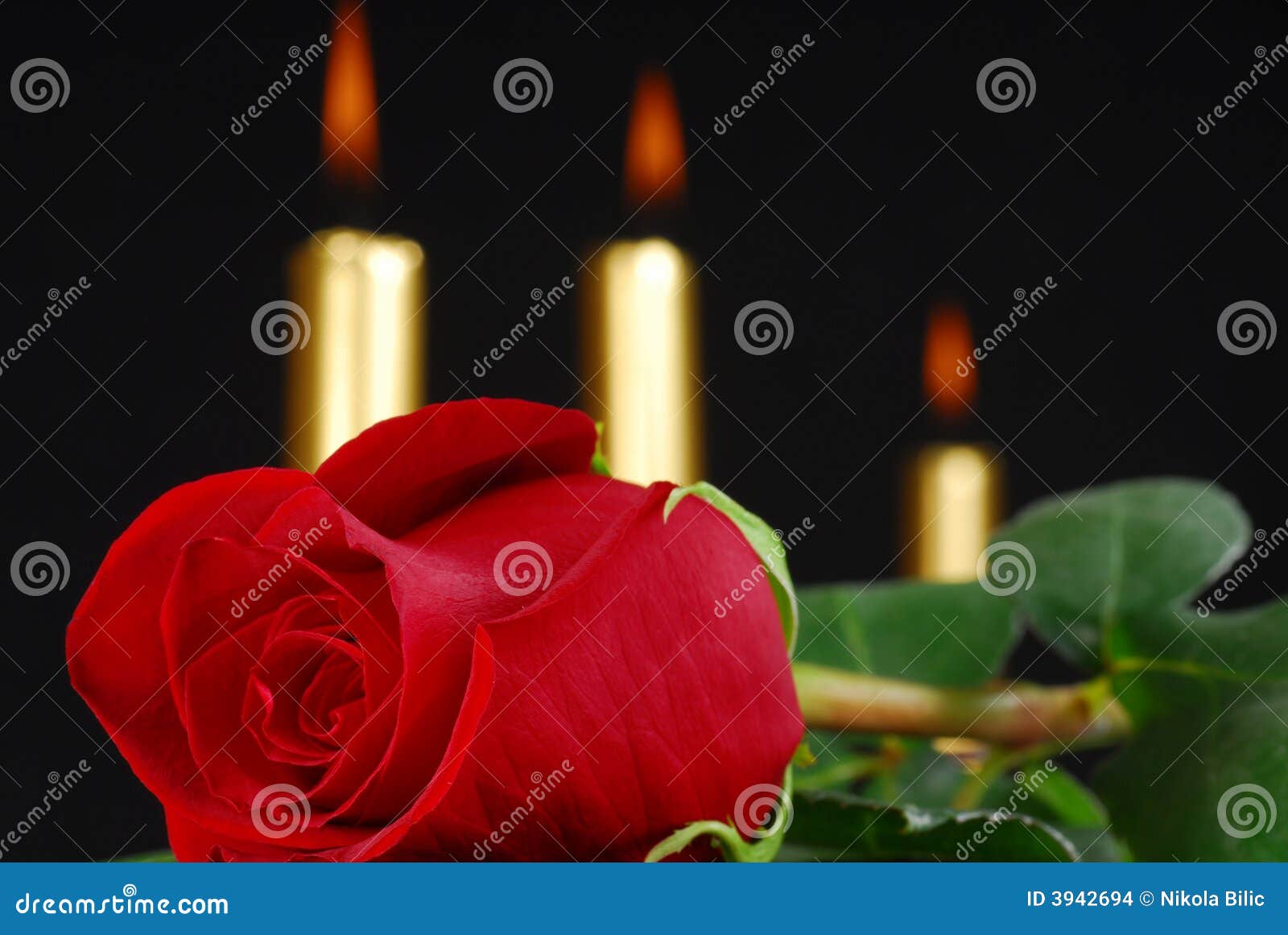 Red rose and candles stock photo. Image of still, valentines 3942694