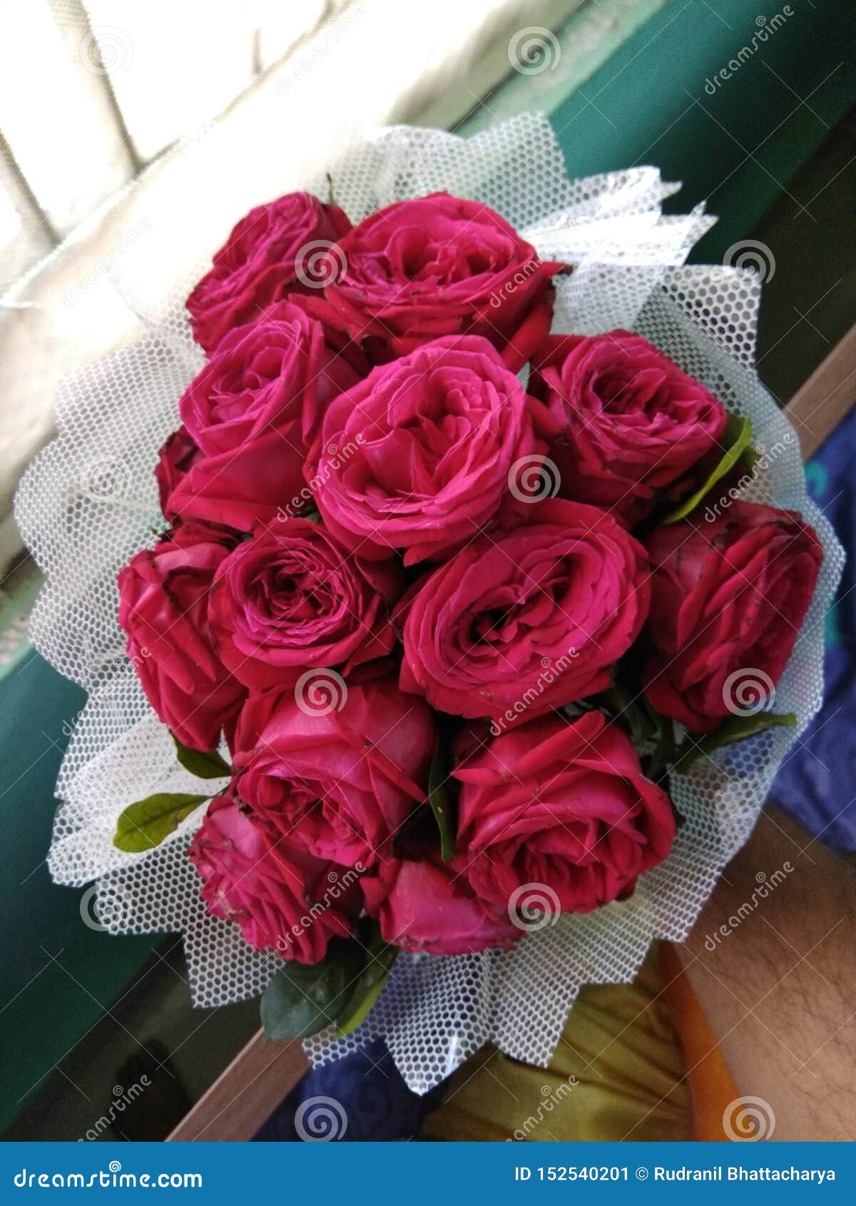 Red rose stock image. Image of online, fresh, cute, rose 152540201