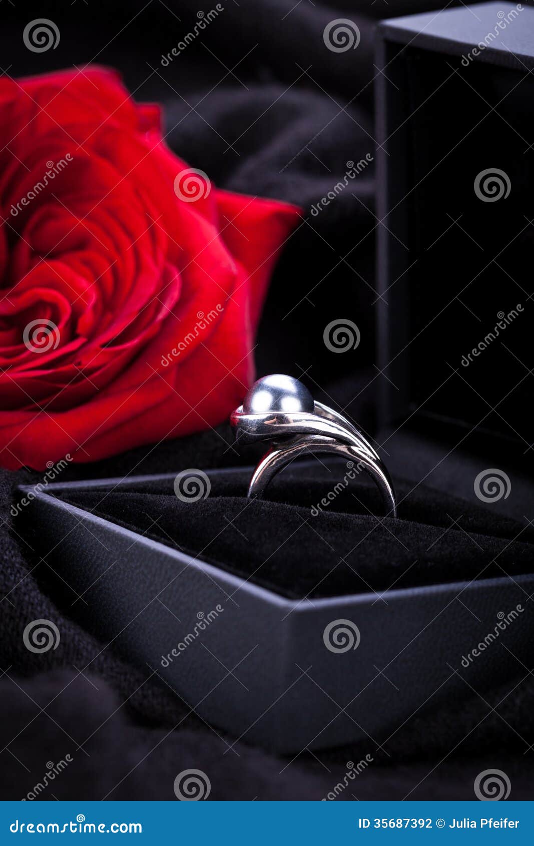 Red Rose and Diamond Ring in a Box Stock Photo Image of anniversary