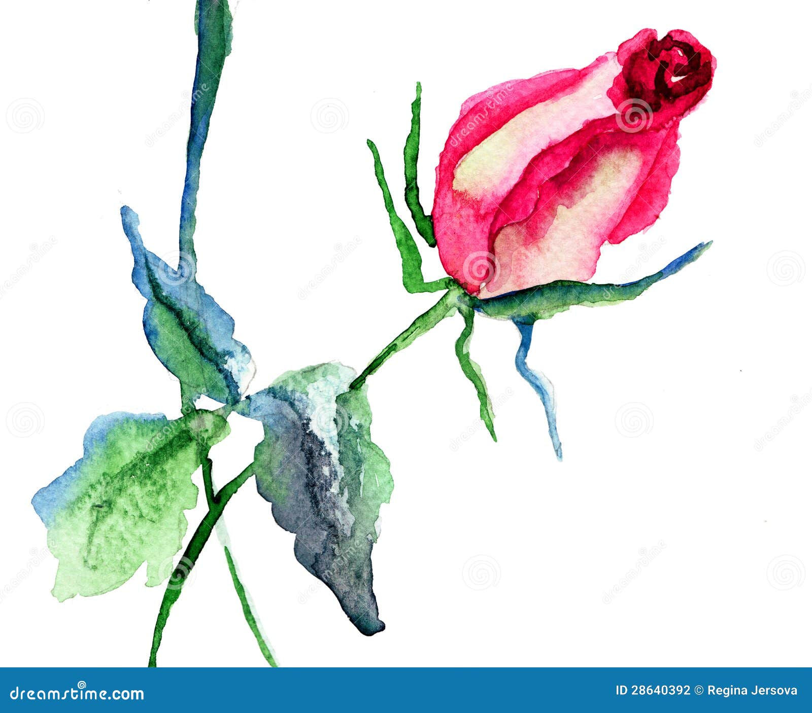 Red Rose flower stock illustration. Illustration of retro - 28640392