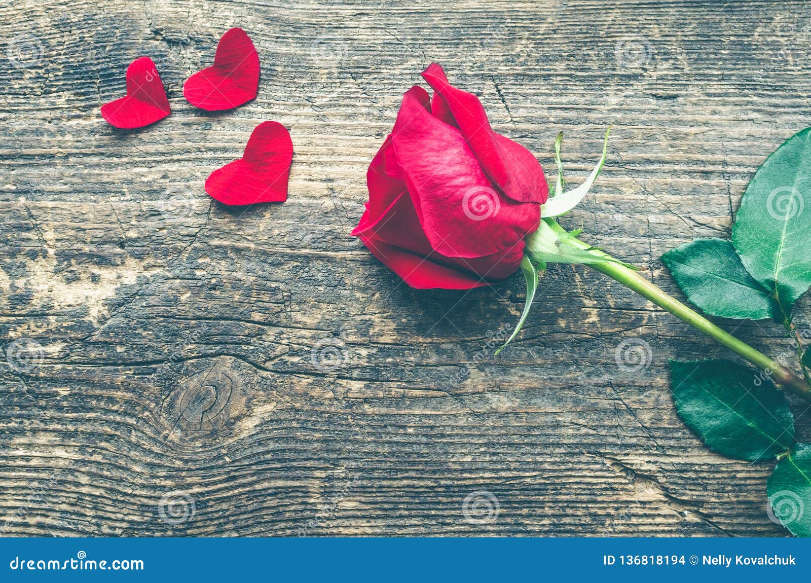 Red Rose Flower with Red Hearts Stock Photo - Image of flower, event ...