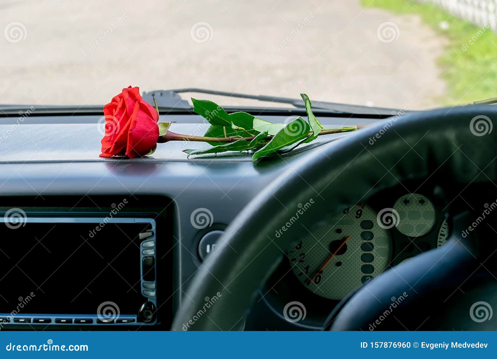 A Red Rose Flower Lies on the Dashboard in the Car Stock Photo Image