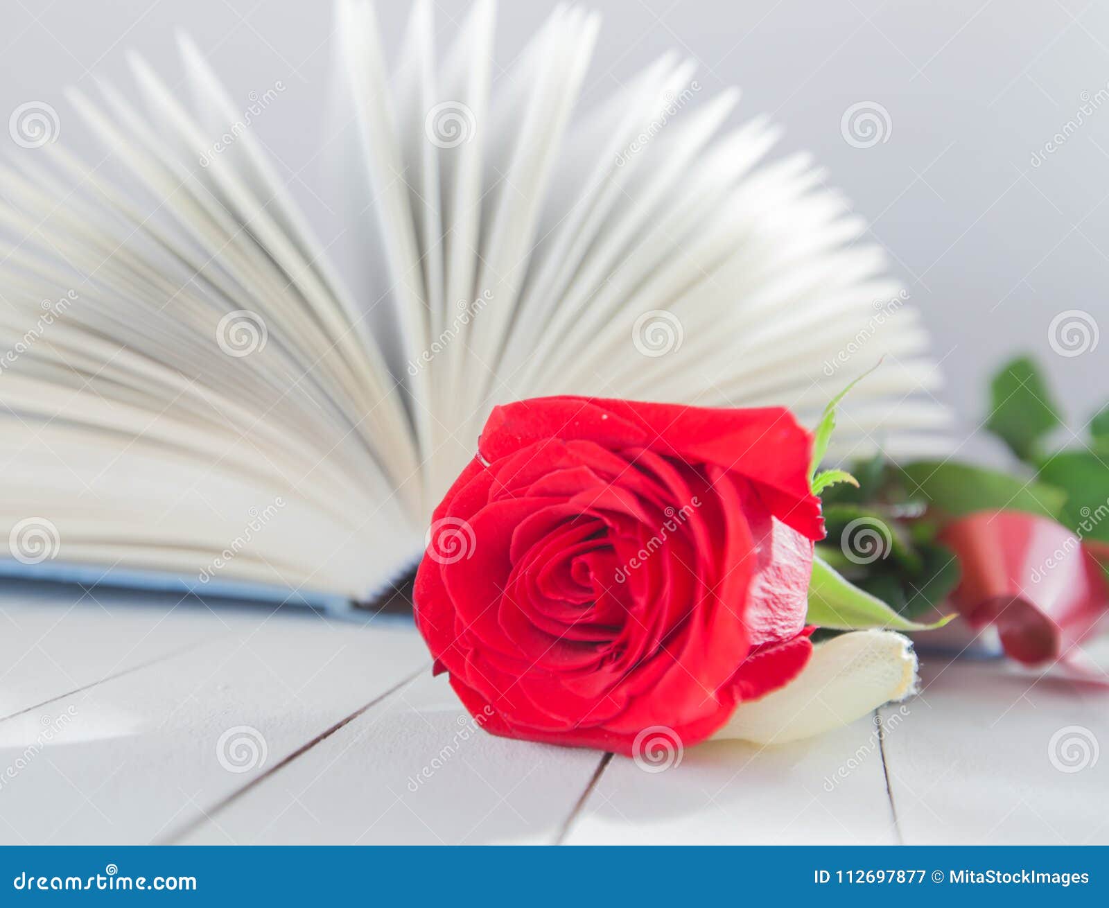 Rose and Book romance love stock image. Image of page - 112697877