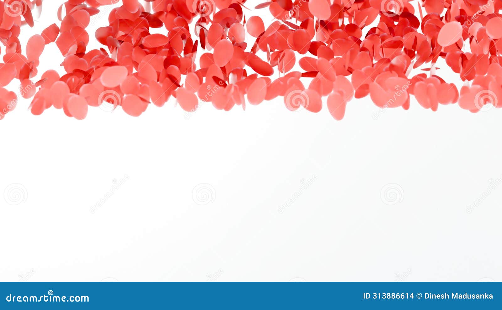 red rose flower petals  on white background. valentines day concept.
