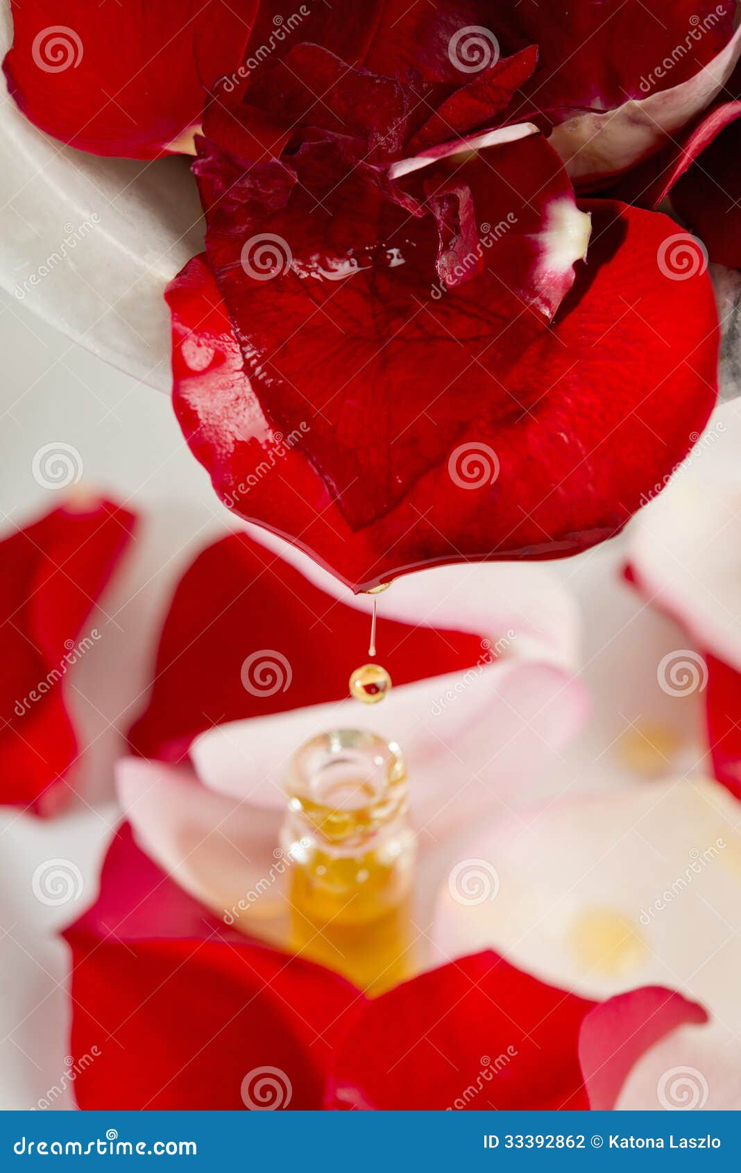 Red Rose Flower with Rose Oil Stock Photo Image of eastern, cologne
