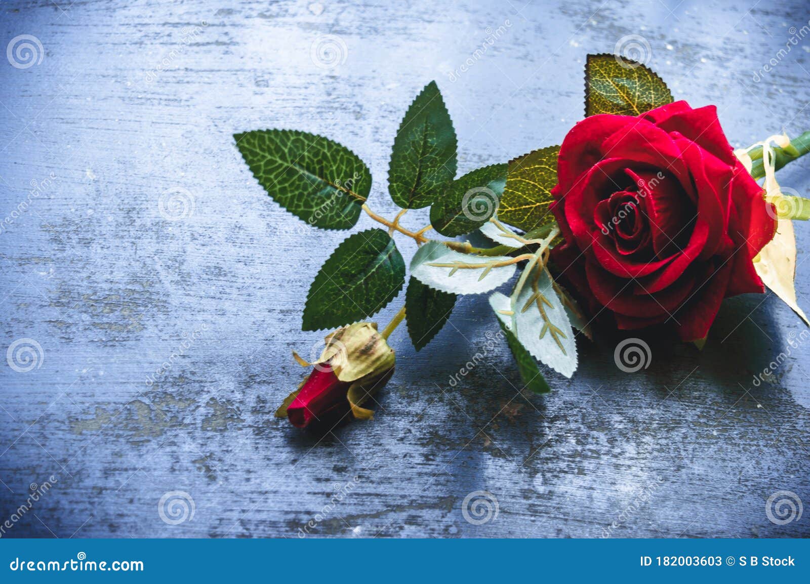 Red rose flower on rustic floor Nature still life love romantic background  theme Wallpaper web banner design decoration for friendship and valentine  Stock Photo  Alamy