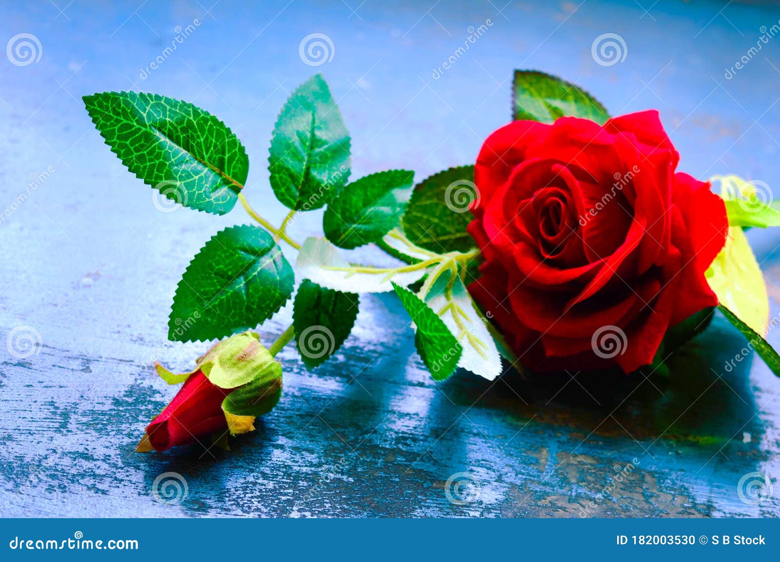 Red Rose Flower on Rustic Floor. Nature Still Life Love Romantic ...