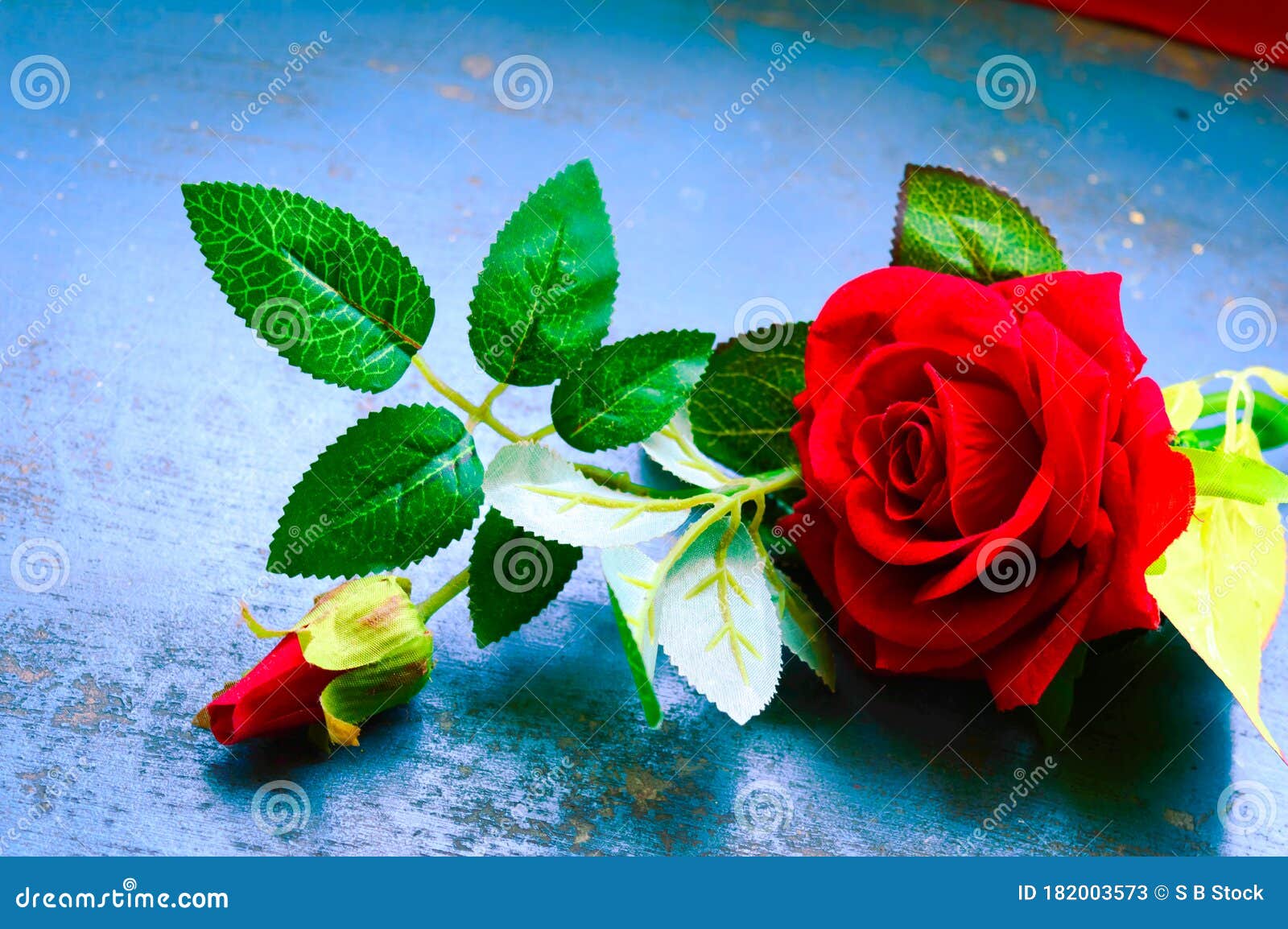 Red Rose Flower on Rustic Floor. Nature Still Life Love Romantic Background  Theme Stock Image - Image of backdrop, anniversary: 182003573