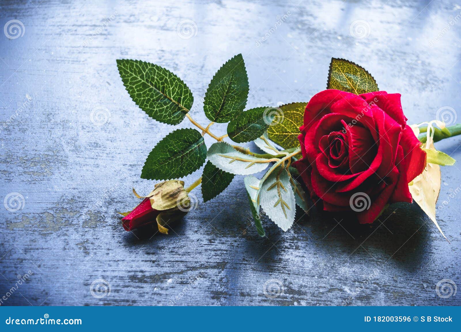 Red Rose Flower on Rustic Floor. Nature Still Life Love Romantic Background  Theme Stock Photo - Image of anniversary, flower: 182003596