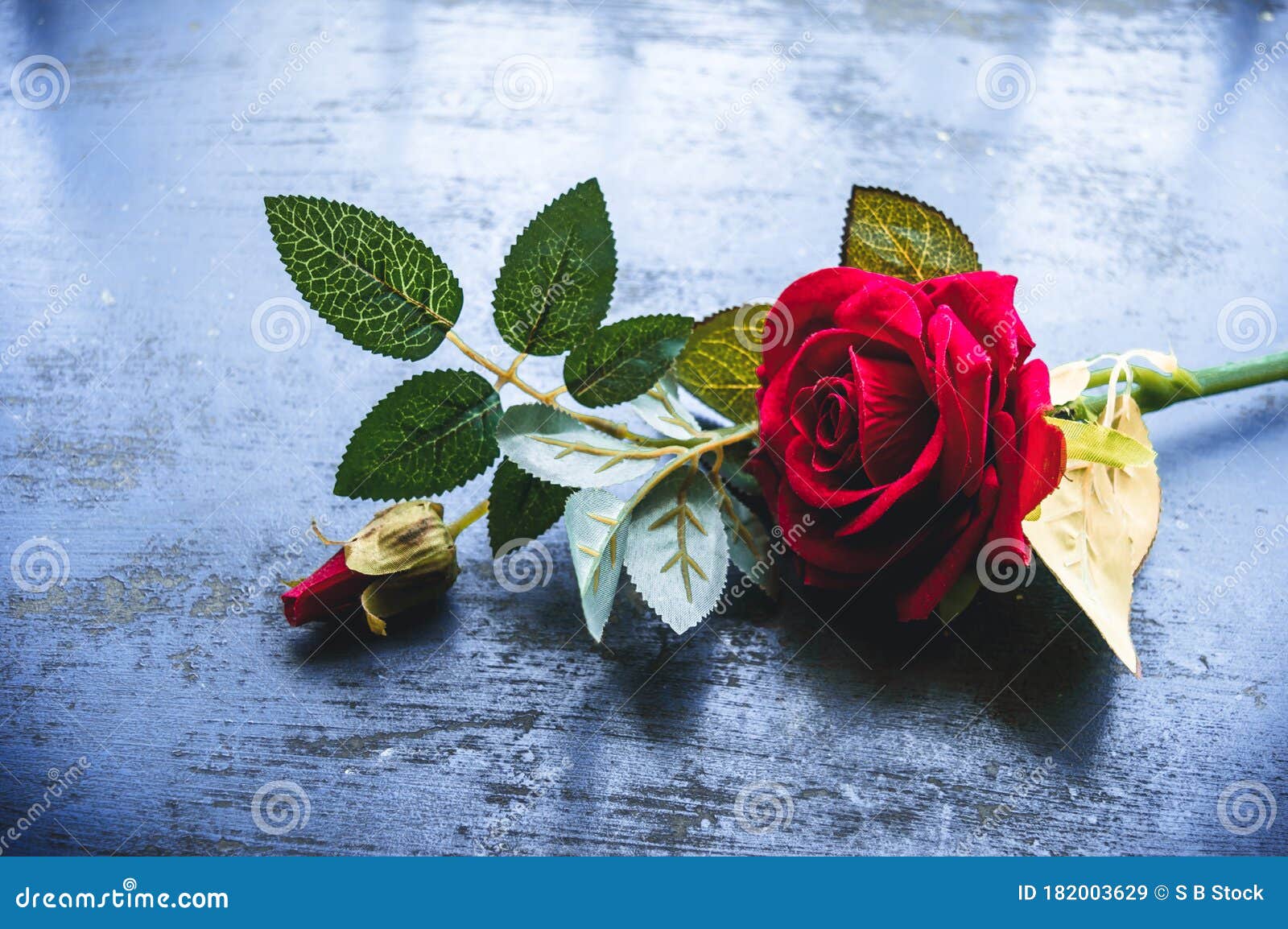 Red Rose Flower on Rustic Floor. Nature Still Life Love Romantic ...