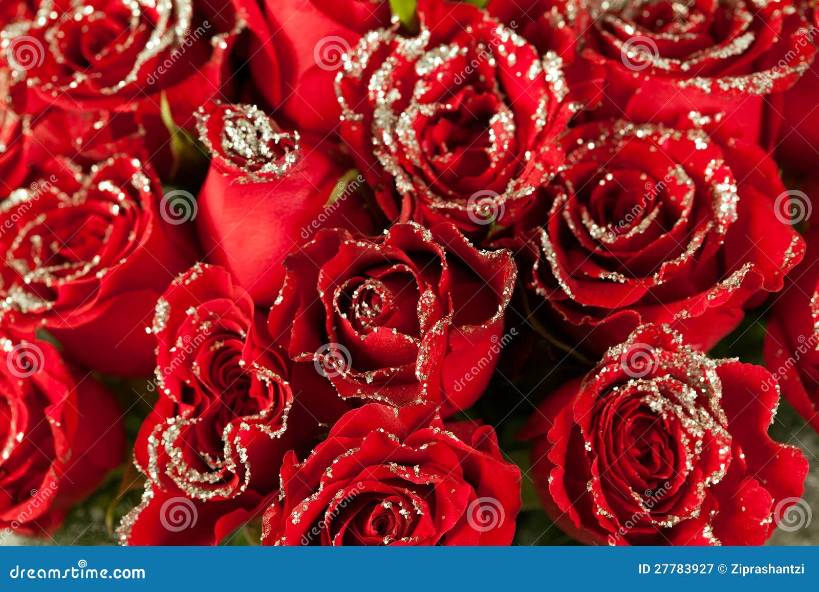 Red Rose Flowers With Sparkle Particles Royalty Free Stock 